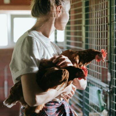 A woman holding chickens inside a henhouse, showing a domestic farming scene.