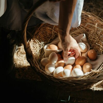 Hand picking eggs from a wicker basket in a rural farm setting, showing natural and organic lifestyle.